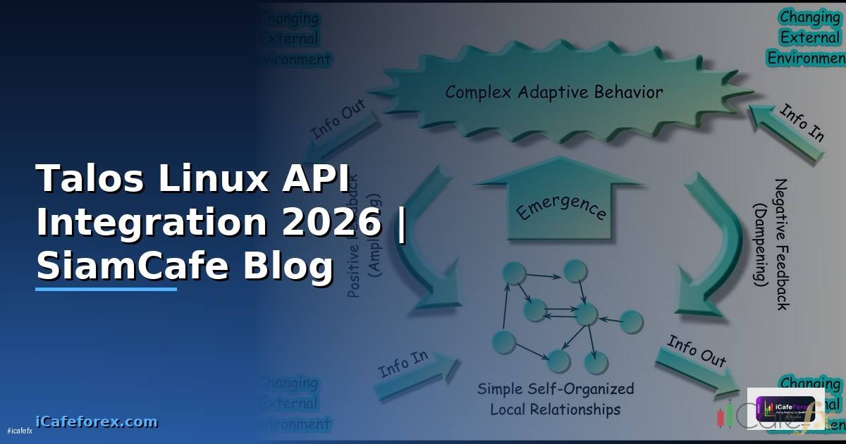 Talos Linux API Integration เชื่อมต่อระบบ