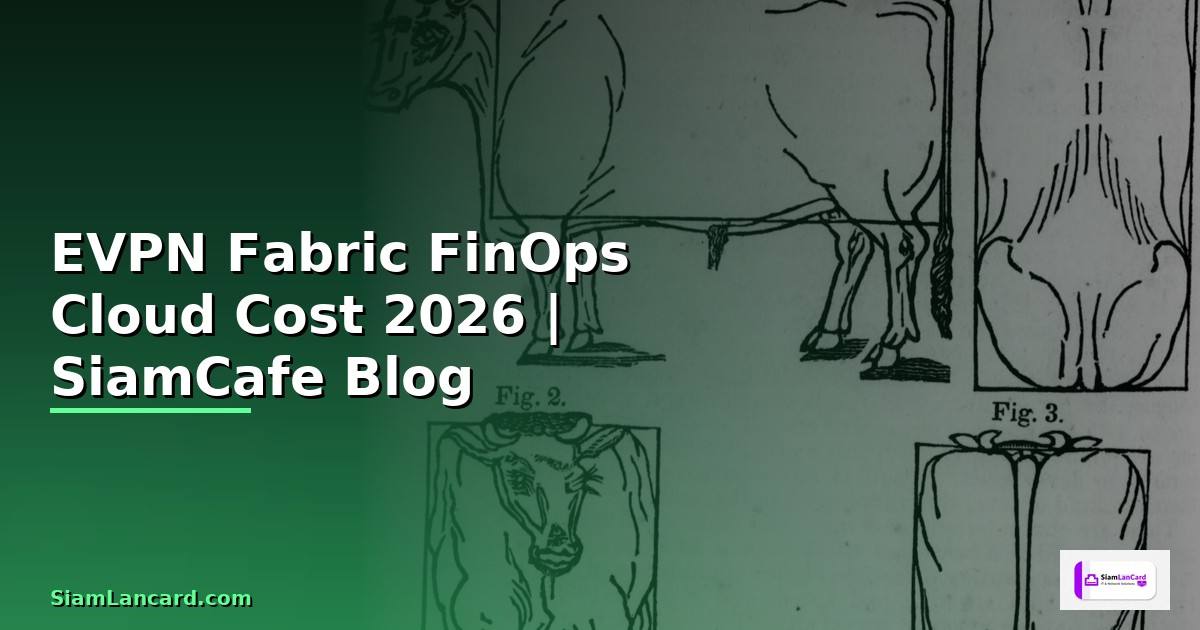 EVPN Fabric FinOps Cloud Cost