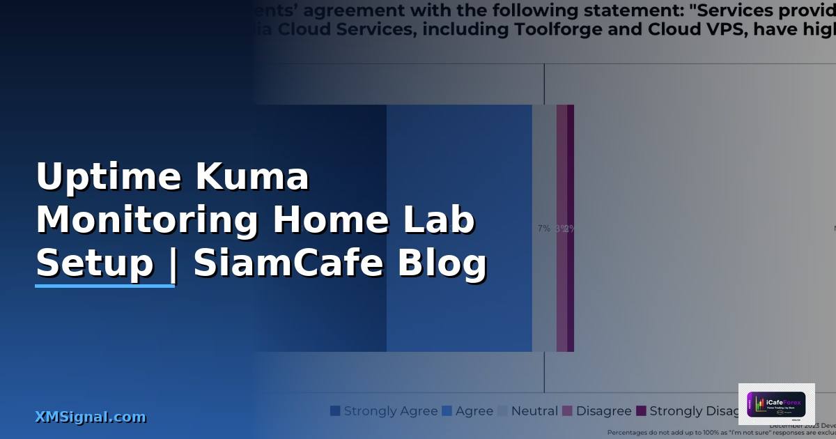 Uptime Kuma Monitoring Home Lab Setup