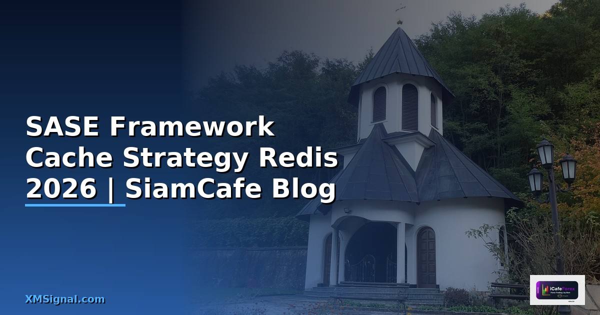 SASE Framework Cache Strategy Redis