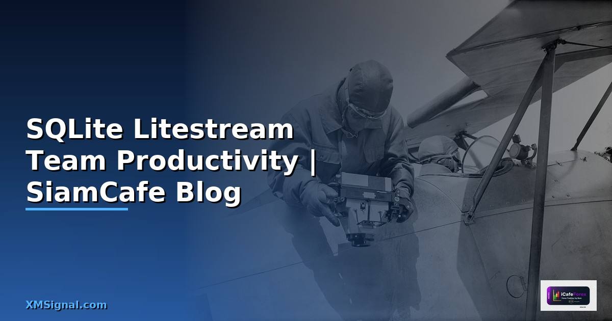 SQLite Litestream Team Productivity