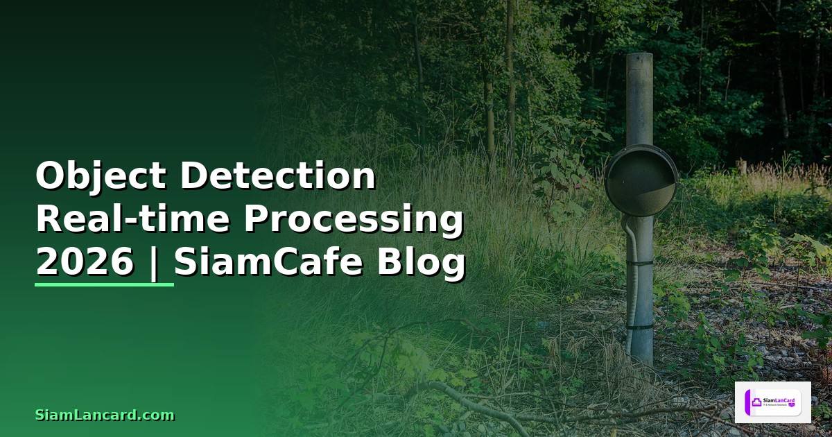 Object Detection Real-time Processing
