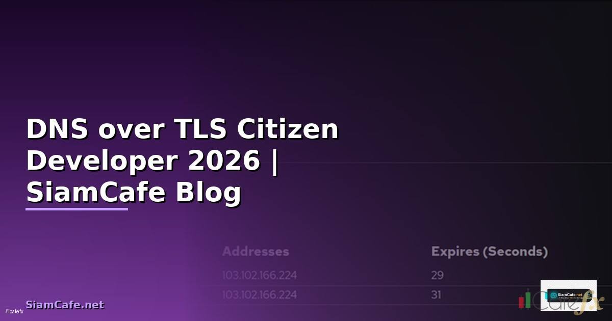DNS over TLS Citizen Developer