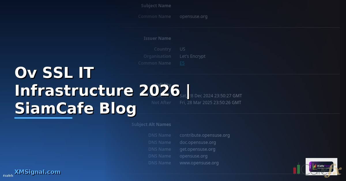 Ov SSL คืออะไร — คู่มือ IT Infrastructure 2026
