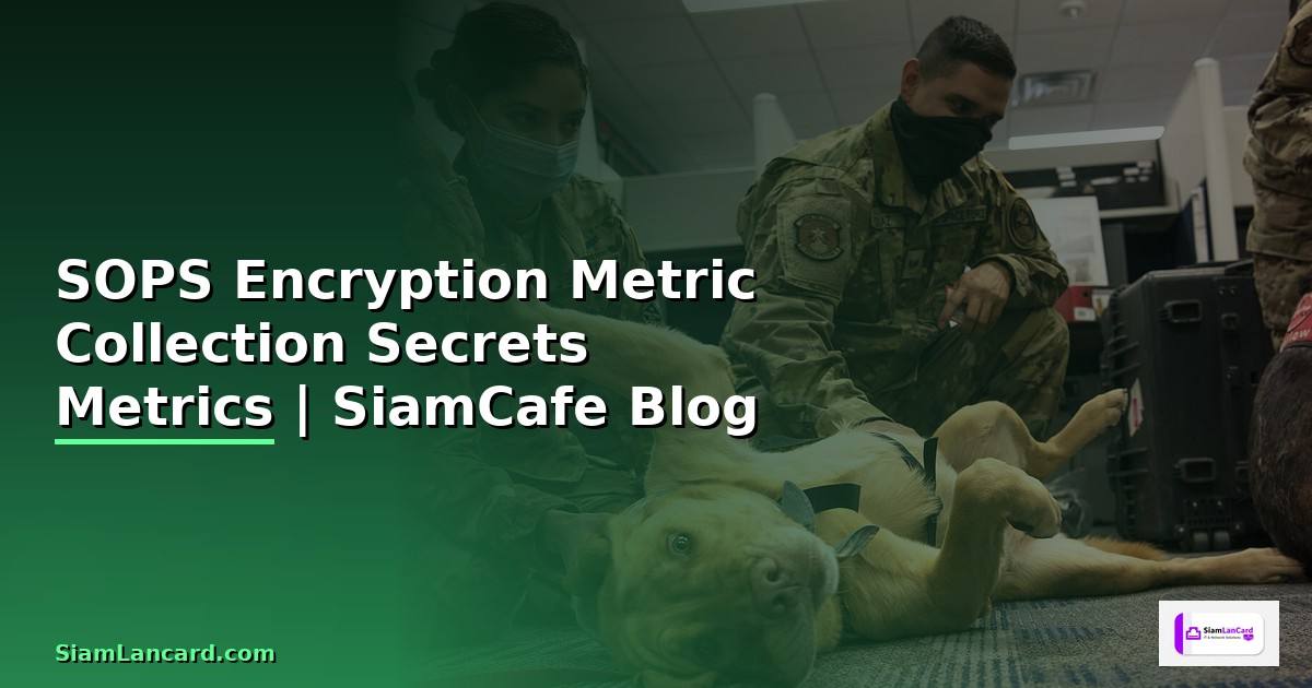 SOPS Encryption Metric Collection — เข้ารหัส