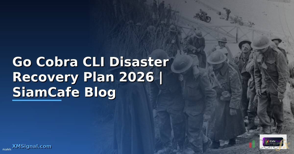 Go Cobra CLI Disaster Recovery Plan — คู่มือฉบับสมบูรณ์ 2026
