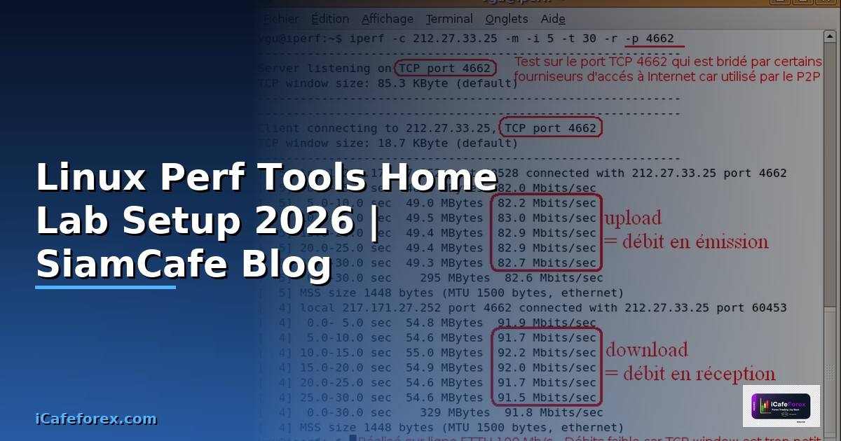 Linux Perf Tools Home Lab Setup