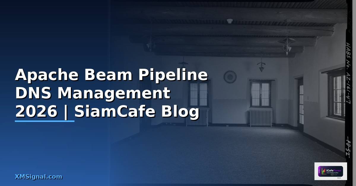 Apache Beam Pipeline DNS Management