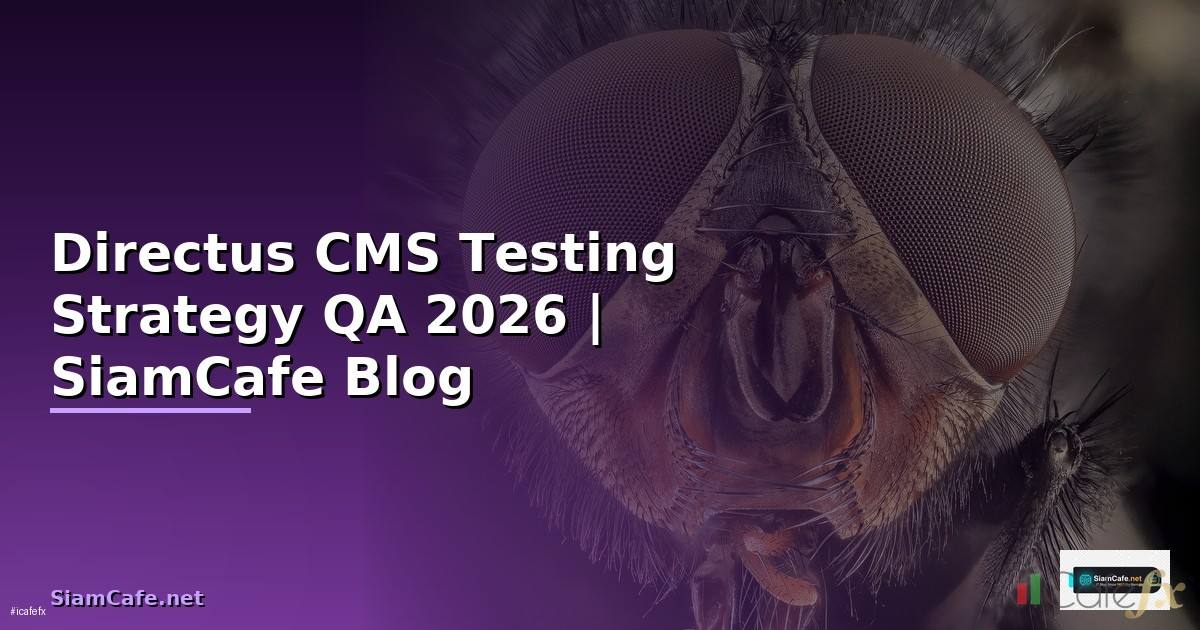Directus CMS Testing Strategy QA