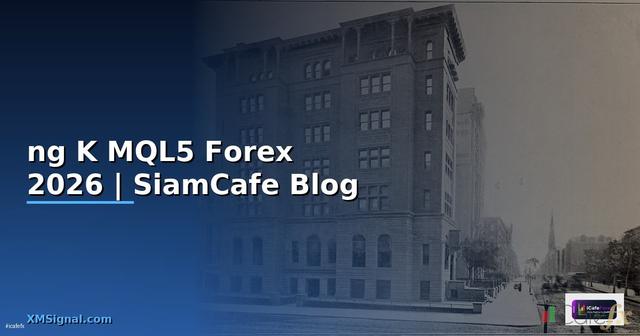 đăng Ký MQL5 — คู่มือเทรด Forex ฉบับสมบูรณ์ 2026
