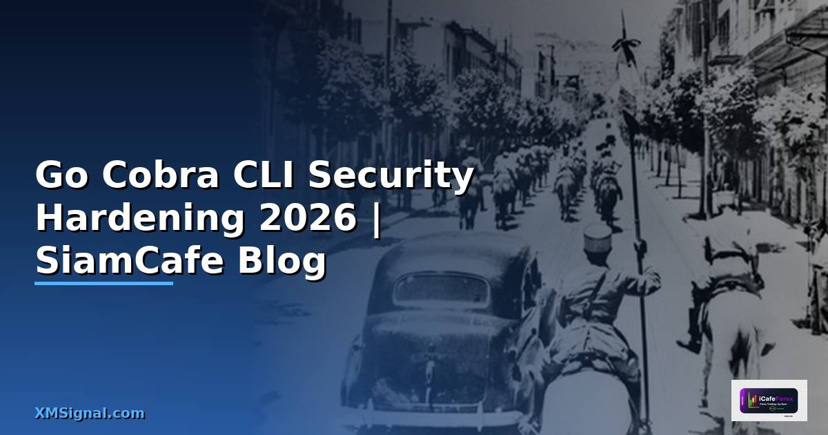 Go Cobra CLI Security Hardening ป้องกันแฮก