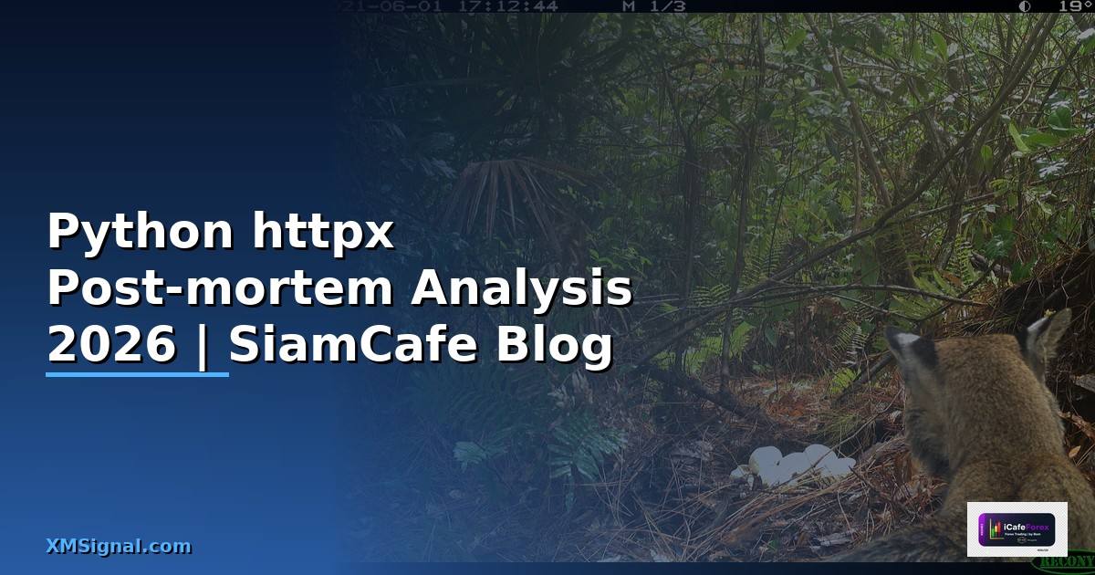 Python httpx Post-mortem Analysis