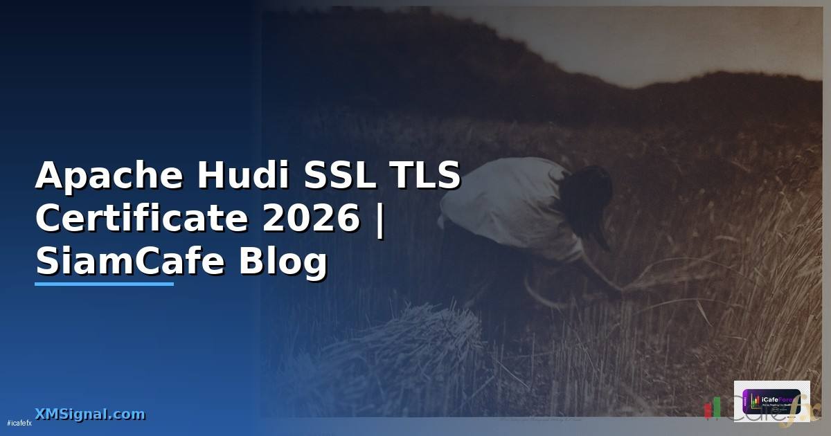 Apache Hudi SSL TLS Certificate