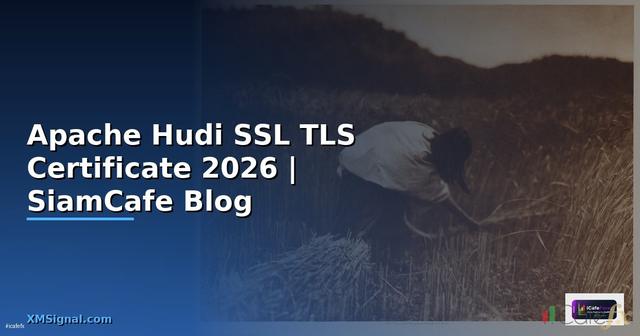 Apache Hudi SSL TLS Certificate