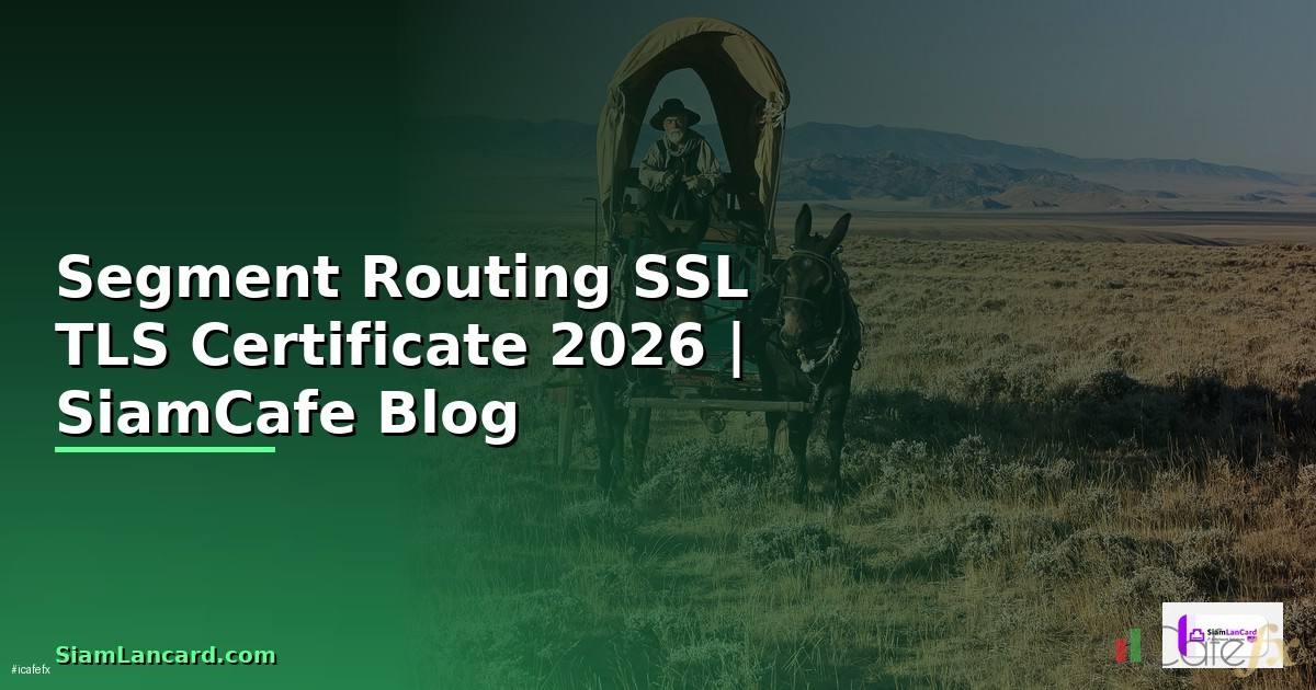 Segment Routing SSL TLS Certificate