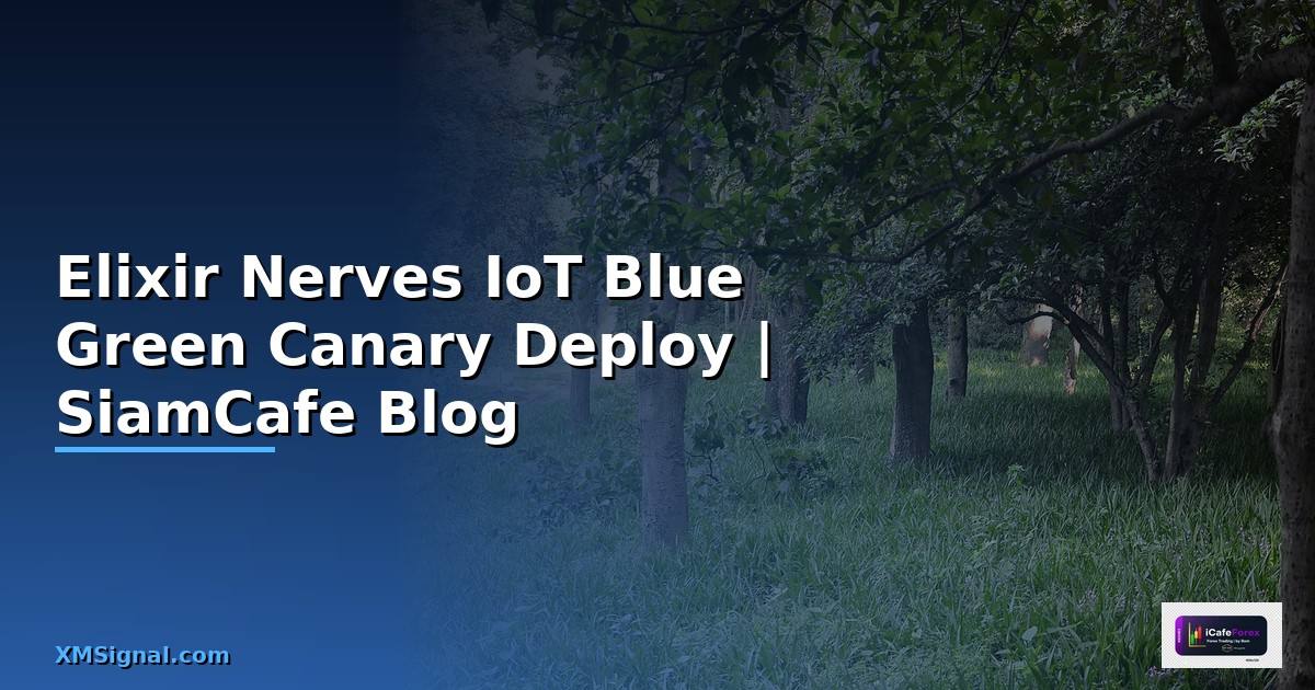 Elixir Nerves IoT Blue Green Canary Deploy