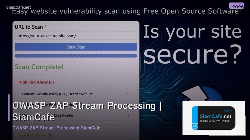 owasp zap stream processing