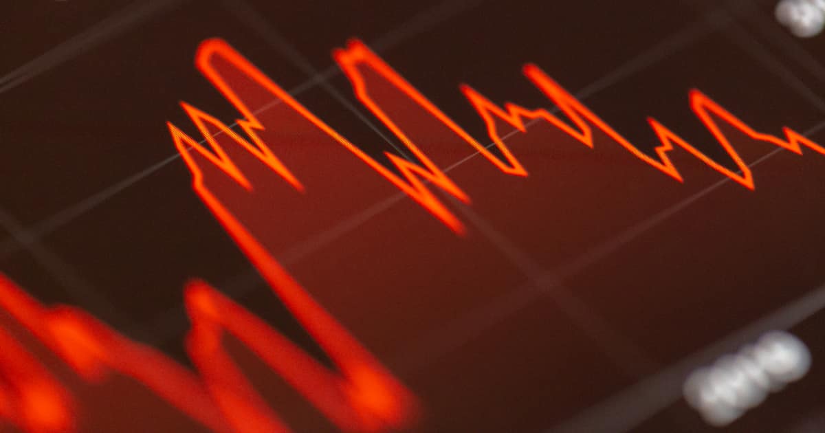 financial freedom education and investor
