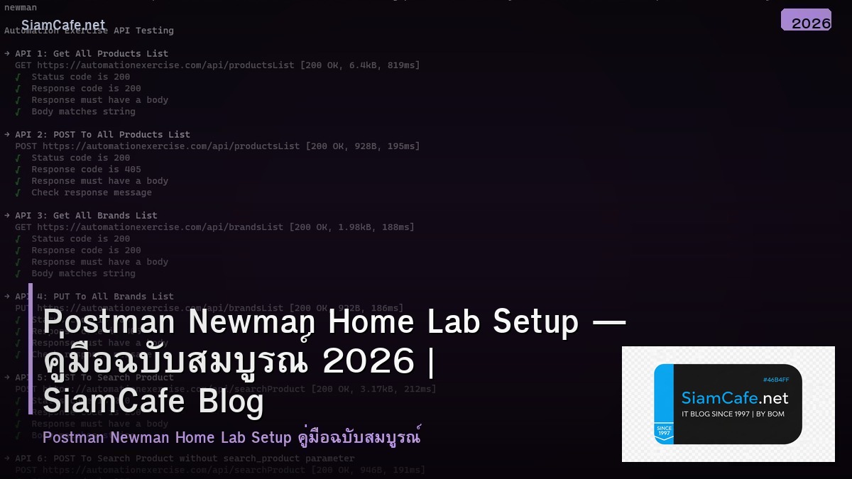 postman newman home lab setup