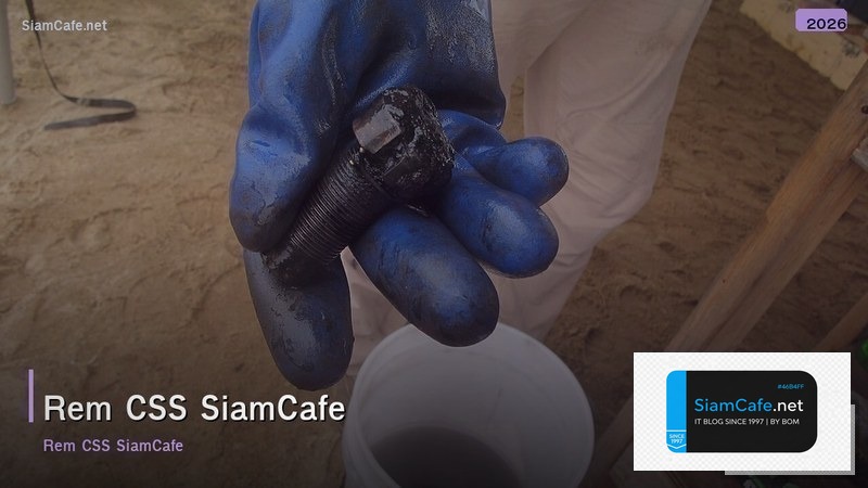 rem css คอ