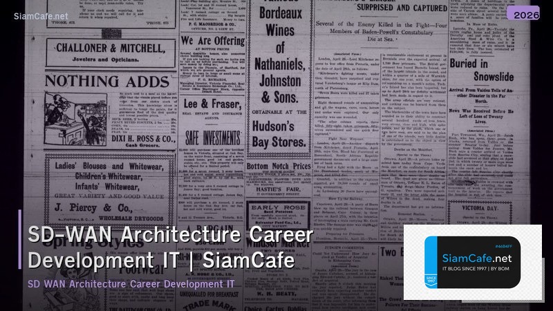 sd wan architecture career development it