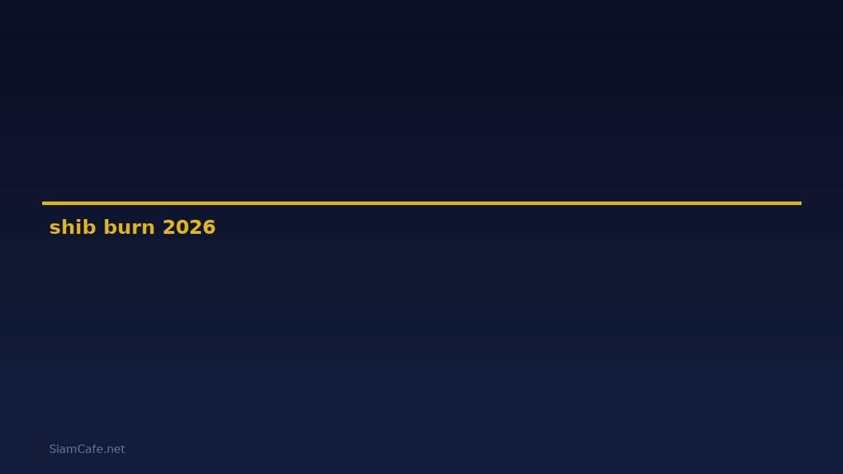 shib burn — คู่มือฉบับสมบูรณ์ 2026