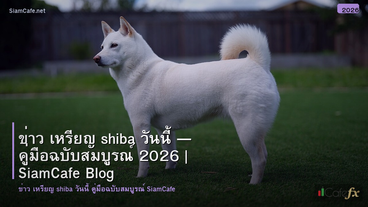 ขาว เหรยญ shiba วนน