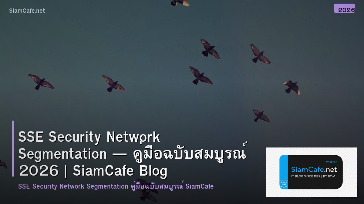sse security network segmentation