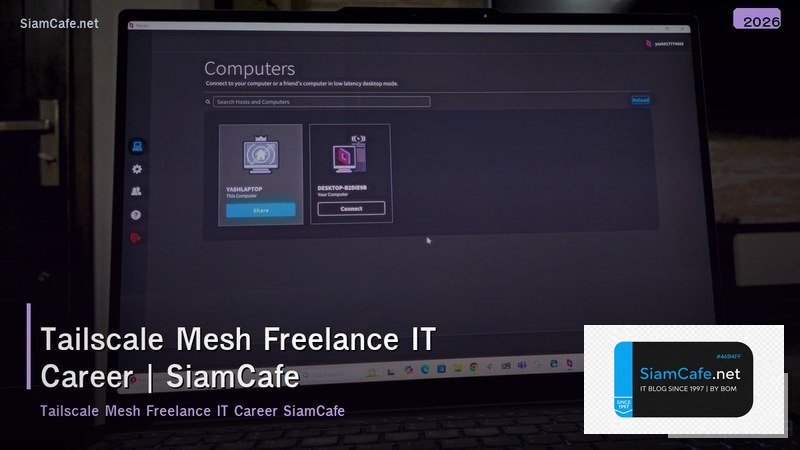 tailscale mesh freelance it career