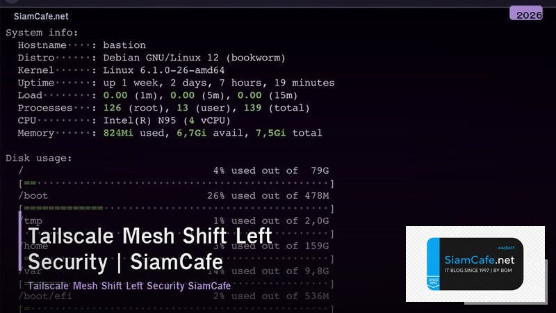 tailscale mesh shift left security