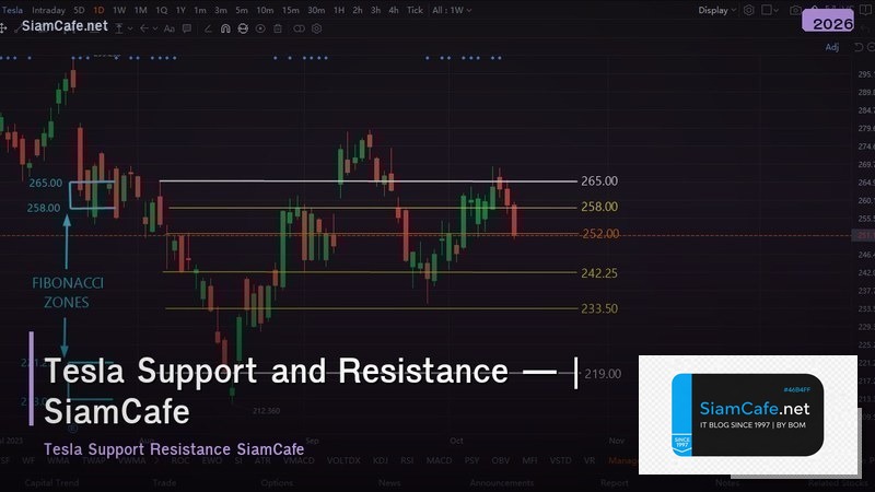 tesla support and resistance