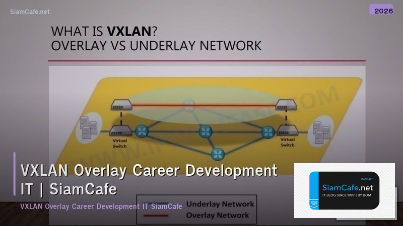vxlan overlay career development it