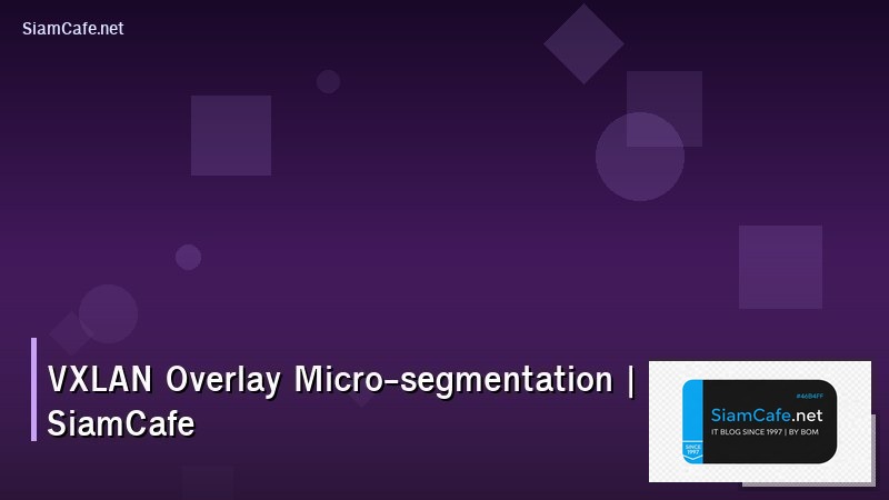 vxlan overlay micro segmentation