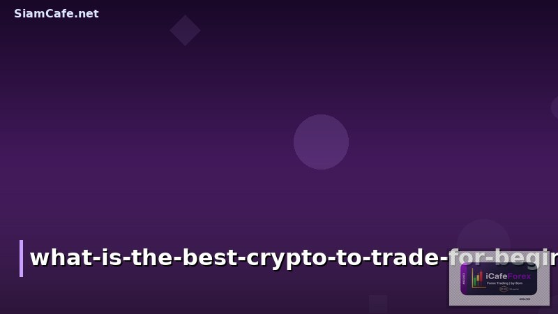 what is the best crypto to trade for beginners
