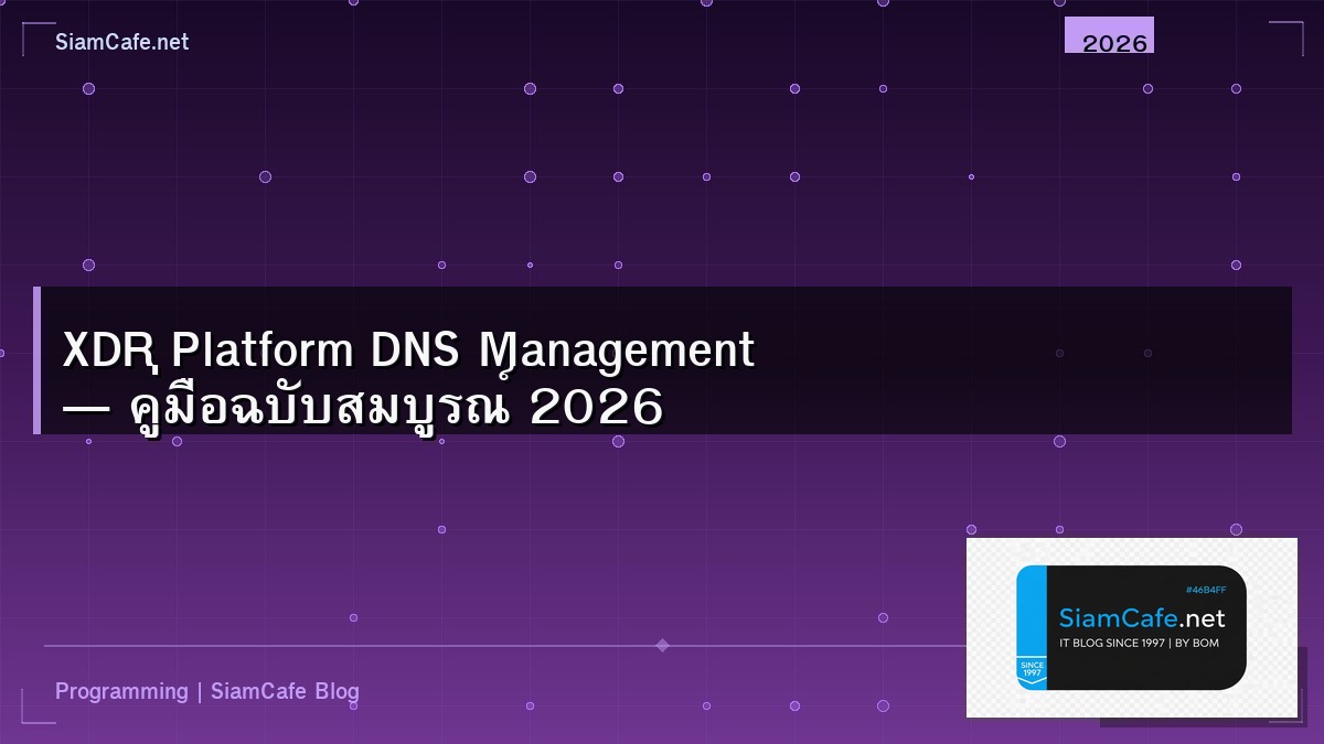 xdr platform dns management