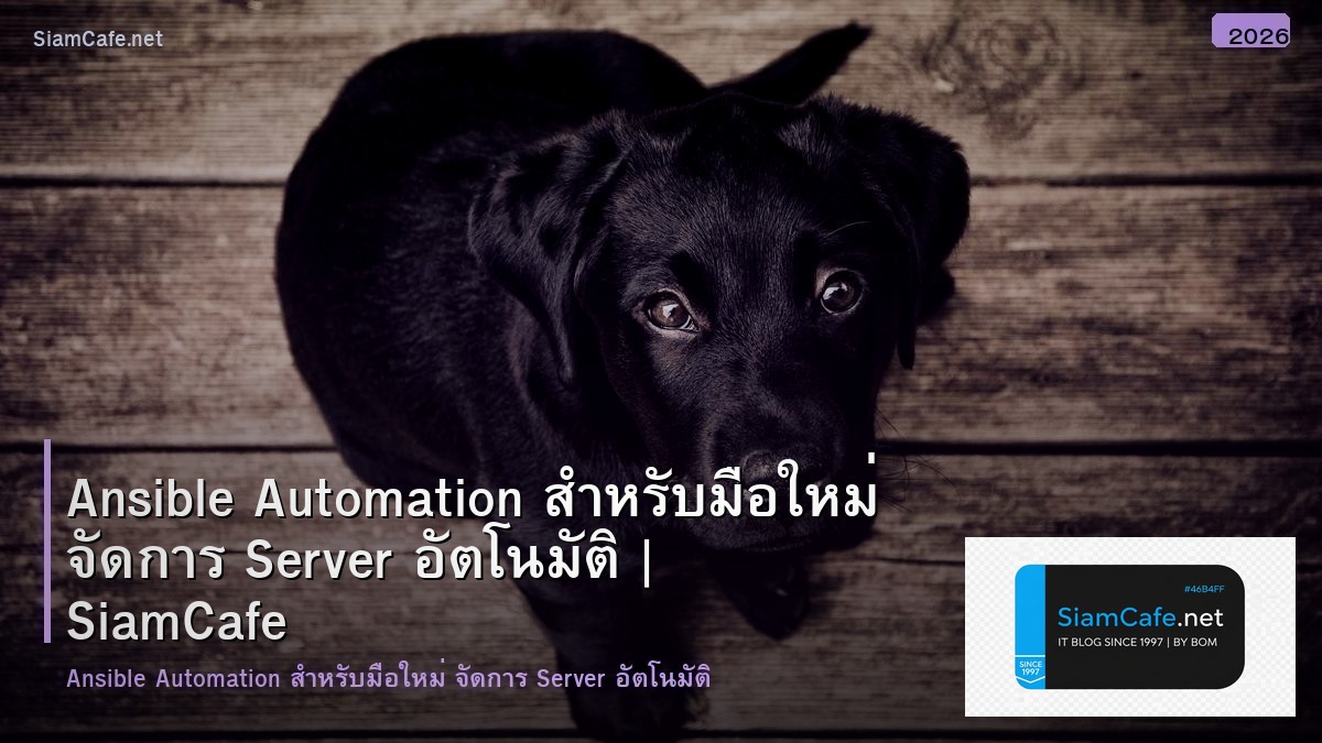 Ansible Automation สำหรับมือใหม่ จัดการ Server อัตโนมัติ