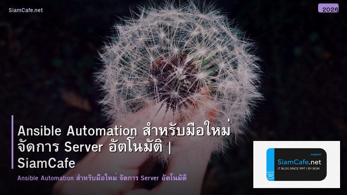 Ansible Automation สำหรับมือใหม่ จัดการ Server อัตโนมัติ
