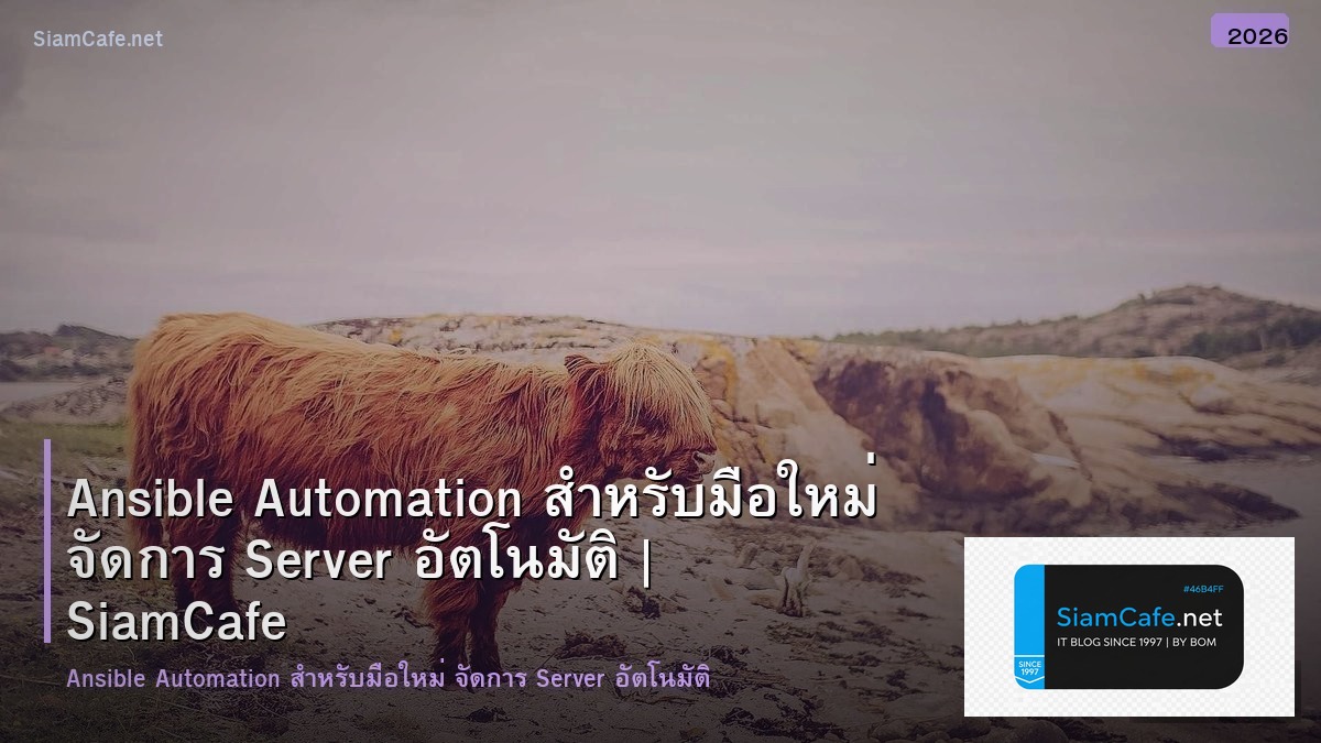 Ansible Automation สำหรับมือใหม่ จัดการ Server อัตโนมัติ