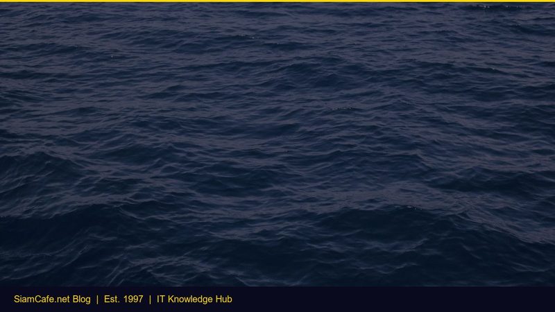 Api คออะไร ใชอยางไร — คู่มือฉบับสมบูรณ์