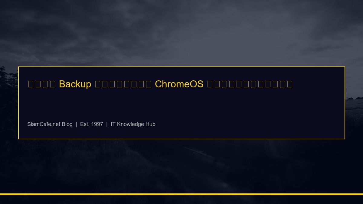 วิธี Backup ข้อมูลบน ChromeOS อย่างปลอดภัย [อัพเดท 2026]