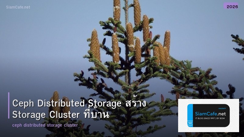 Ceph Distributed Storage สร้าง Storage Cluster ที่บ้าน