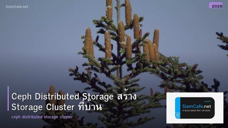 Ceph Distributed Storage สร้าง Storage Cluster ที่บ้าน