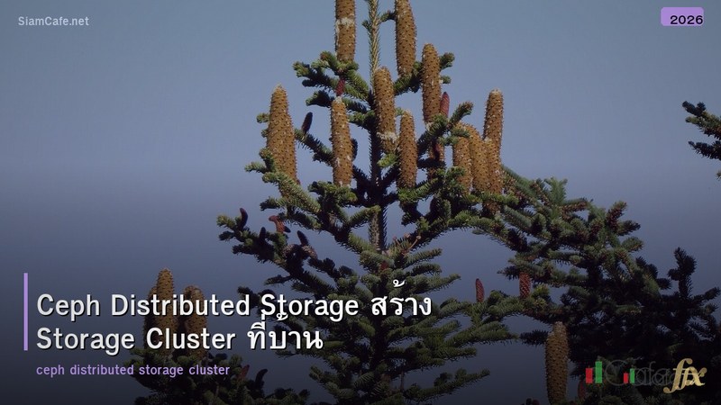 Ceph Distributed Storage สร้าง Storage Cluster ที่บ้าน