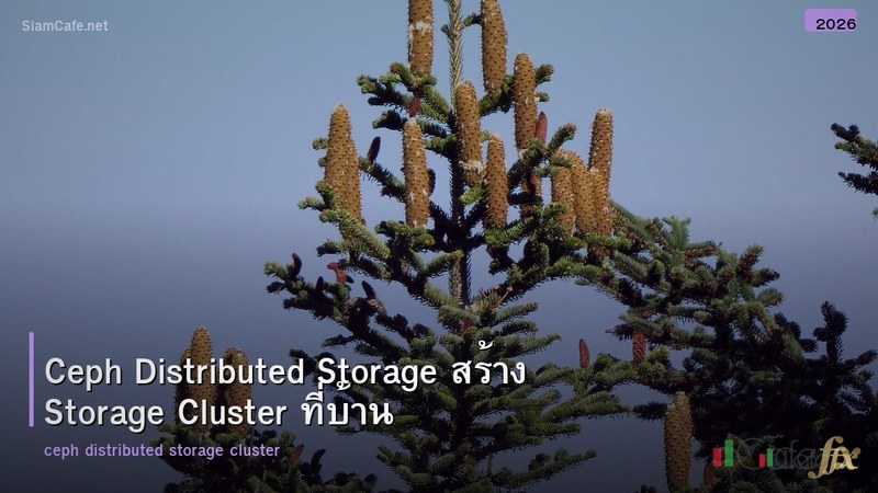 Ceph Distributed Storage สร้าง Storage Cluster ที่บ้าน