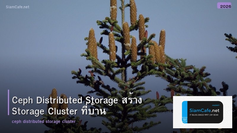 Ceph Distributed Storage สร้าง Storage Cluster ที่บ้าน