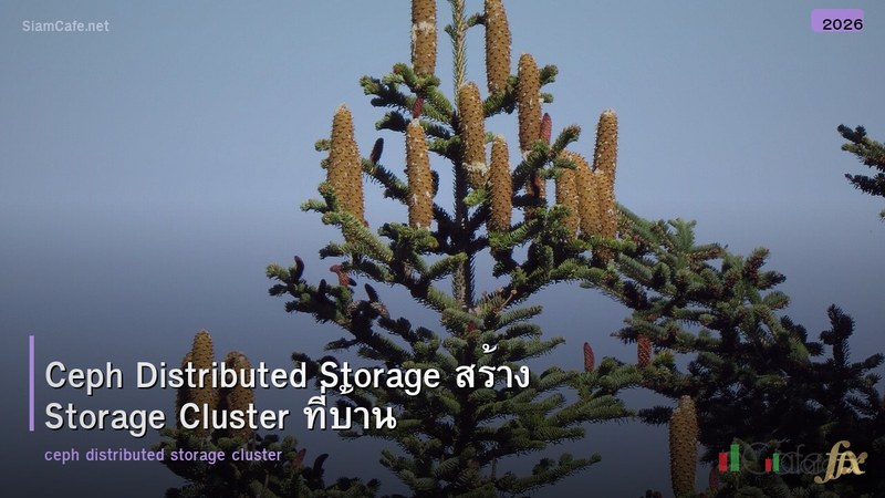 Ceph Distributed Storage สร้าง Storage Cluster ที่บ้าน