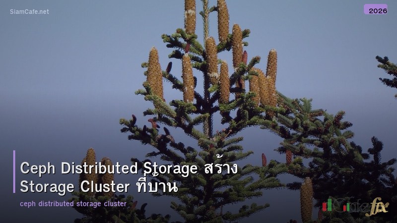 Ceph Distributed Storage สร้าง Storage Cluster ที่บ้าน