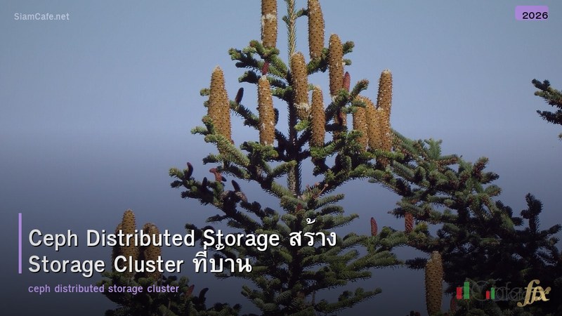 Ceph Distributed Storage สร้าง Storage Cluster ที่บ้าน