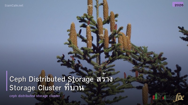 Ceph Distributed Storage สร้าง Storage Cluster ที่บ้าน