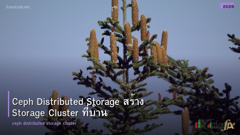 Ceph Distributed Storage สร้าง Storage Cluster ที่บ้าน